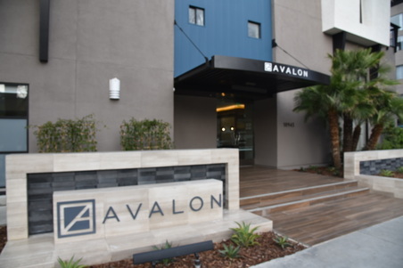 avalon