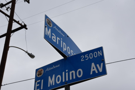 mariposa at molina