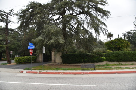 Enlarge photo 15