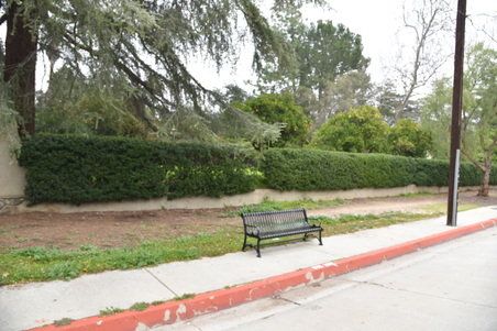 Enlarge photo 16