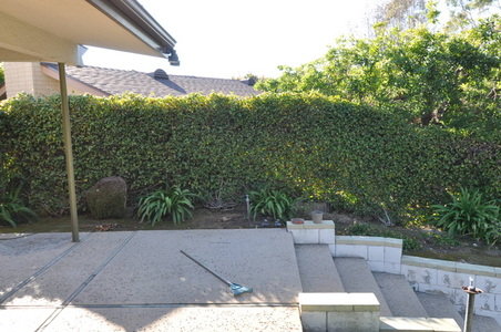 Enlarge photo 52