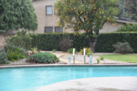 Enlarge photo 58