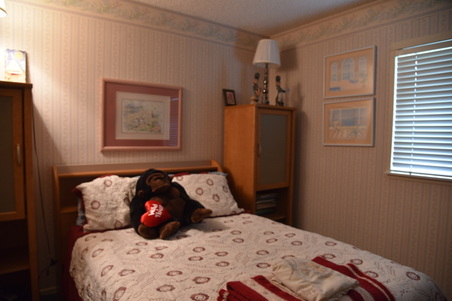 Enlarge photo 63