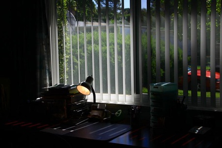 Enlarge photo 52