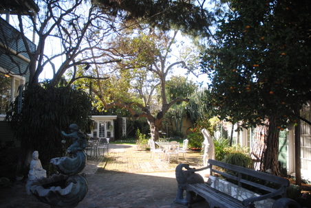 Enlarge photo 93