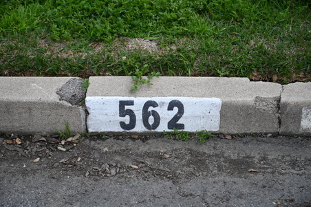 CAST_Altadena