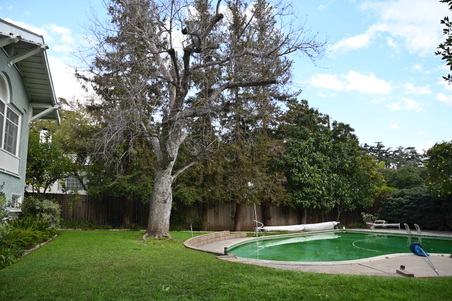 Enlarge photo 71
