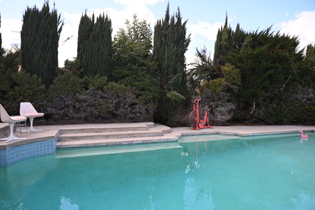 Enlarge photo 65