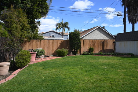 Enlarge photo 49