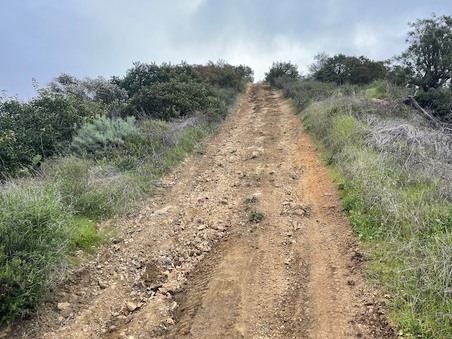 Enlarge photo 43