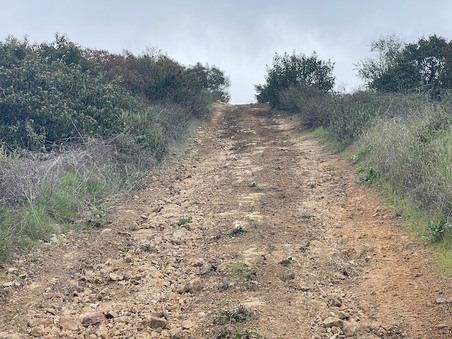 Enlarge photo 42