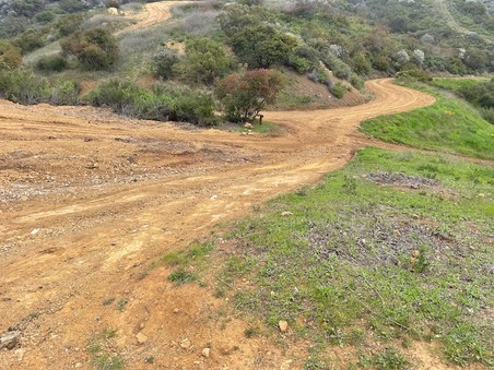 Enlarge photo 41