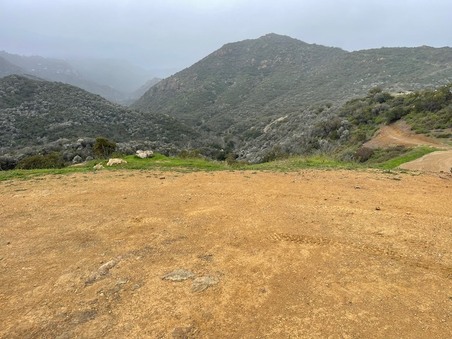 Enlarge photo 39