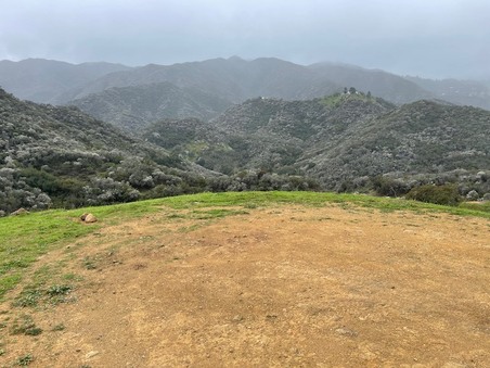 Enlarge photo 38