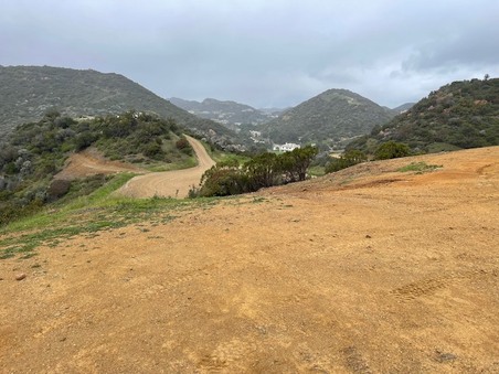 Enlarge photo 37