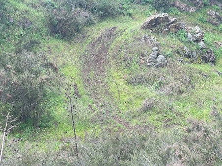 Enlarge photo 32