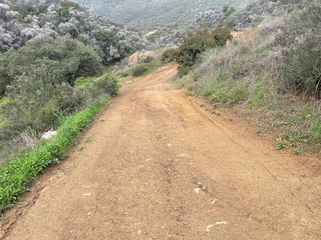 Enlarge photo 30