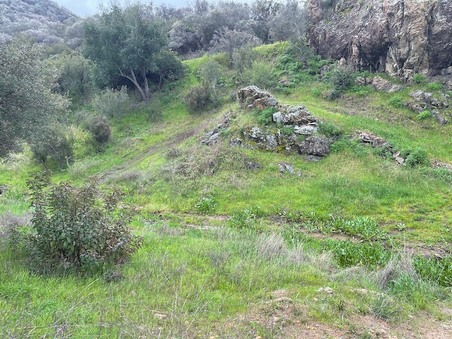 Enlarge photo 29