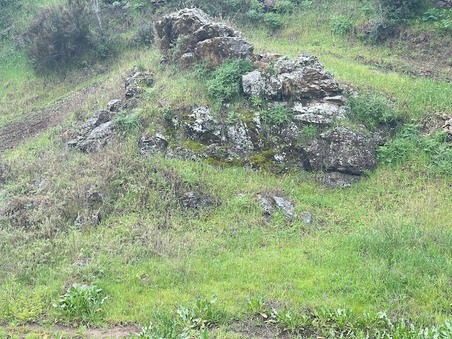Enlarge photo 28