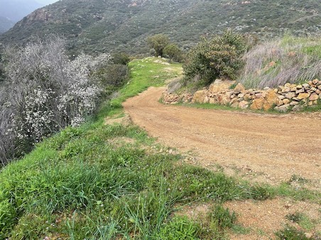 Enlarge photo 17