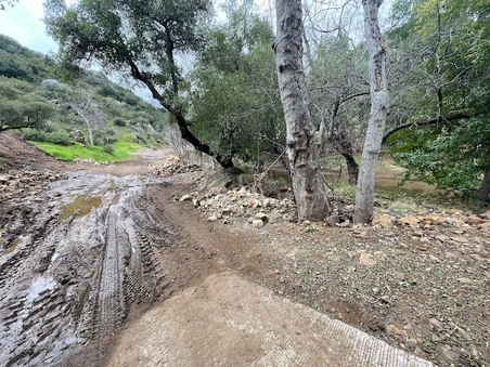 Enlarge photo 11