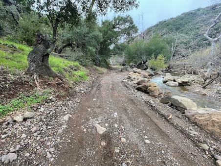 Enlarge photo 10
