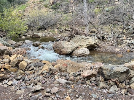 Enlarge photo 7
