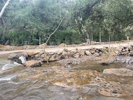 Enlarge photo 115