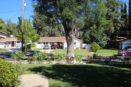 Enlarge photo 3