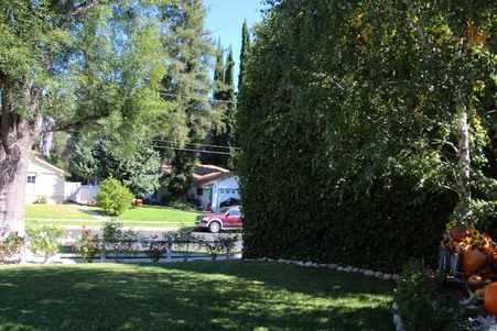 Enlarge photo 2