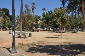 Enlarge photo 74