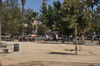 Enlarge photo 75
