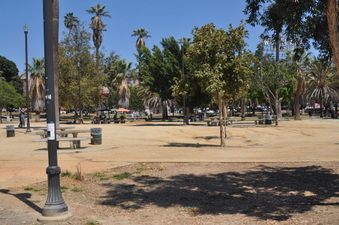 Enlarge photo 77