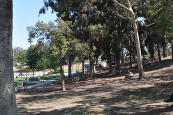 Enlarge photo 78