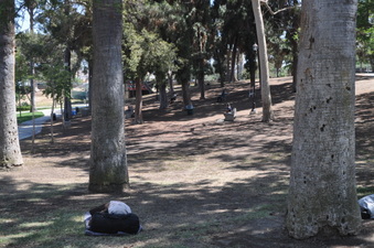 Enlarge photo 81