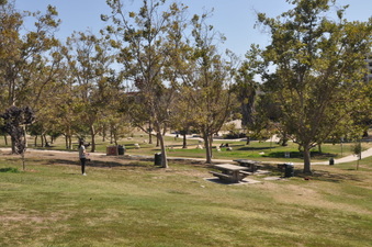Enlarge photo 82