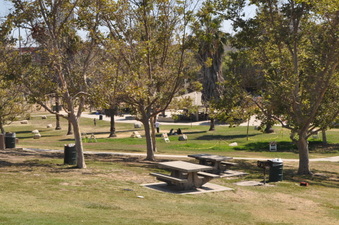 Enlarge photo 83