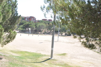 Enlarge photo 87