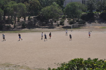 Enlarge photo 93