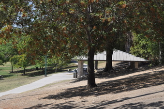 Enlarge photo 99