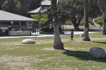 Enlarge photo 104