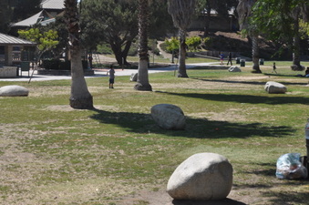 Enlarge photo 105
