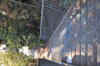 Enlarge photo 113