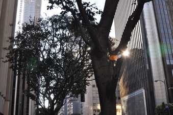Enlarge photo 25