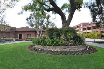 Enlarge photo 19