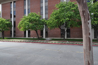 Enlarge photo 32