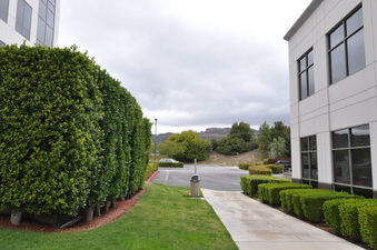 Enlarge photo 11