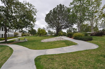 Enlarge photo 13