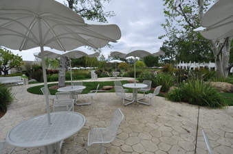 Enlarge photo 25