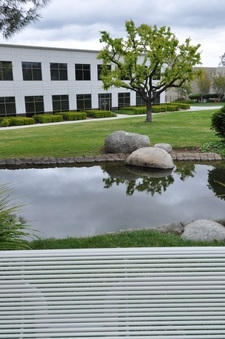 Enlarge photo 27